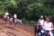 Horseback riding tour